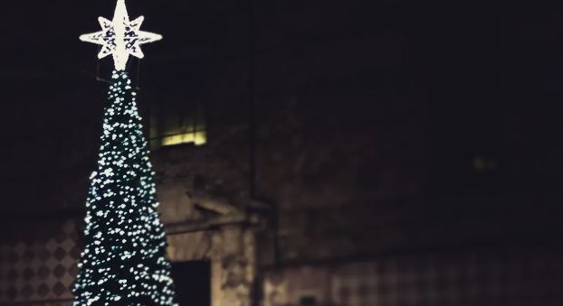 albero natale viabilità