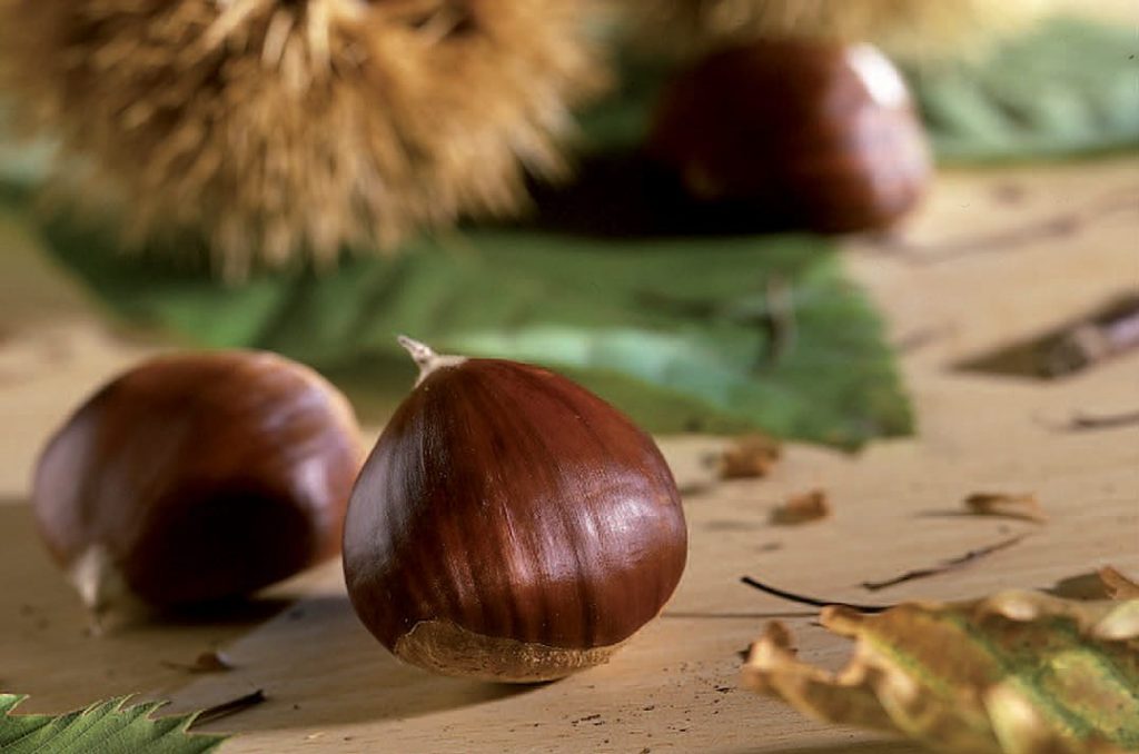 castagne